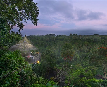 Tree Restaurant